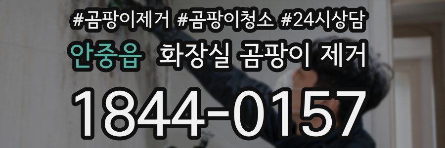 안중읍 화장실 곰팡이 제거