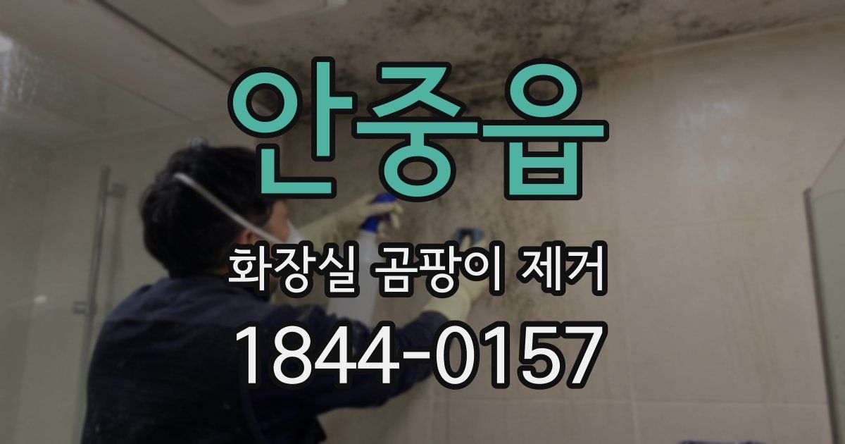 안중읍 화장실 곰팡이 제거