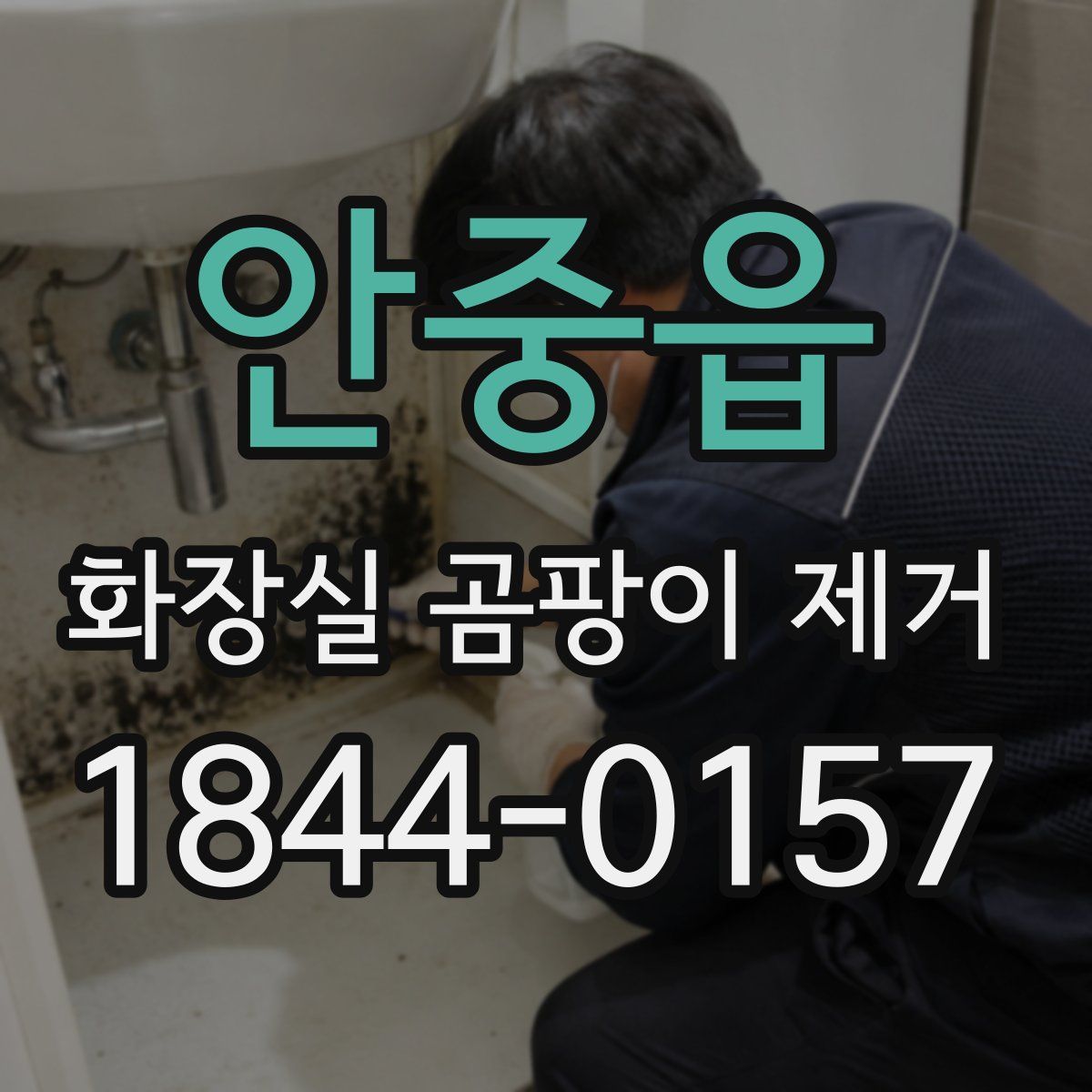 안중읍 화장실 곰팡이 제거