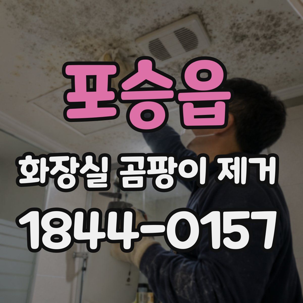 포승읍 화장실 곰팡이 제거