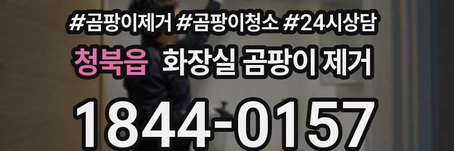 청북읍 화장실 곰팡이 제거