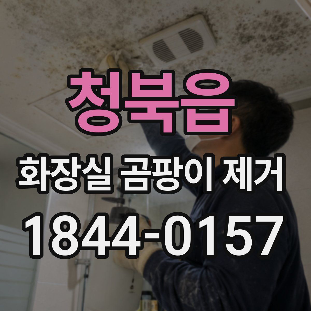 청북읍 화장실 곰팡이 제거