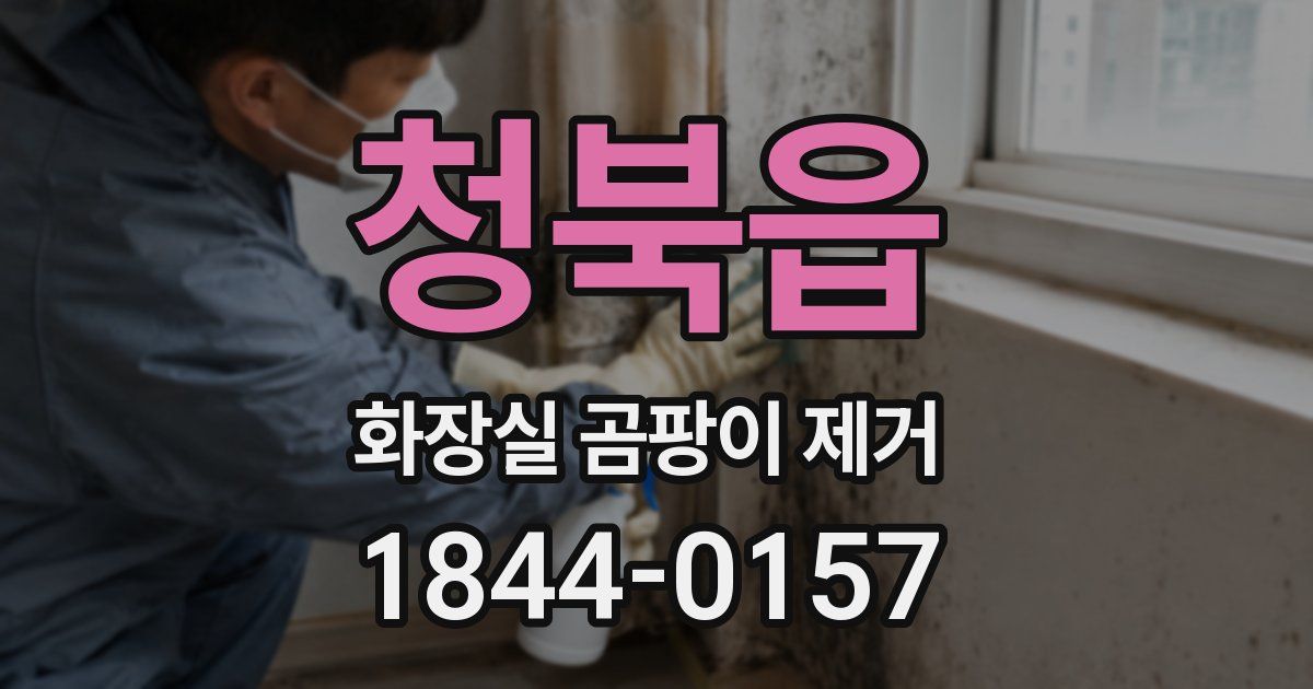 청북읍 화장실 곰팡이 제거