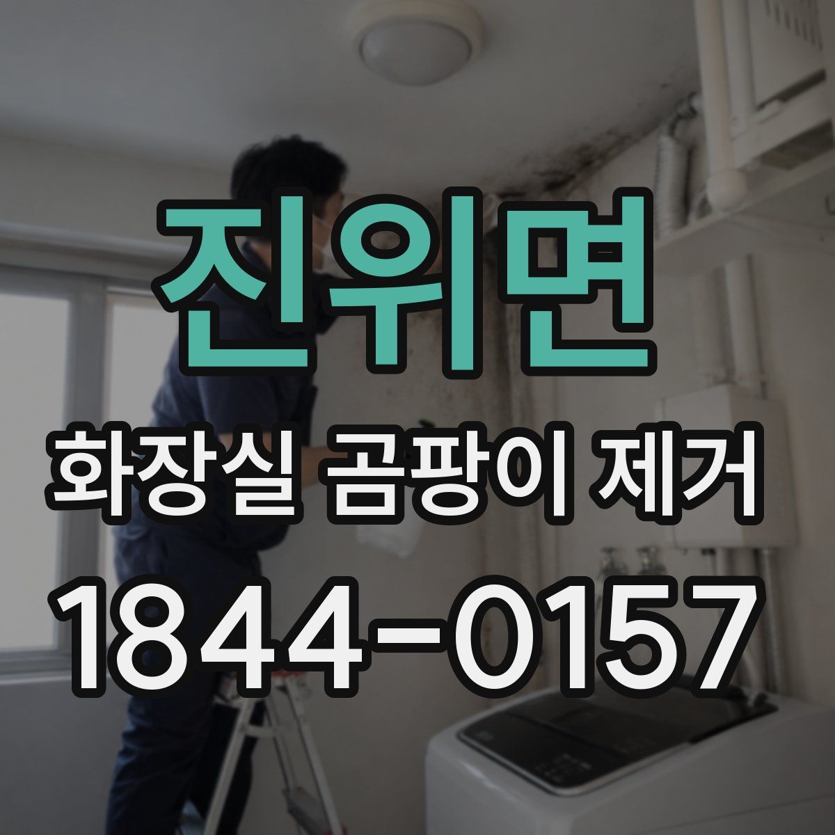 진위면 화장실 곰팡이 제거