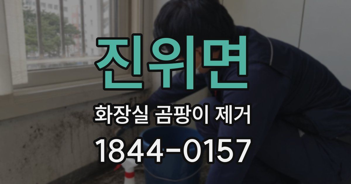 진위면 화장실 곰팡이 제거