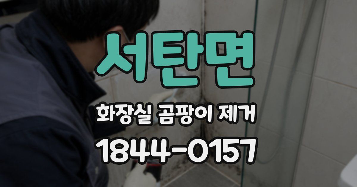 서탄면 화장실 곰팡이 제거