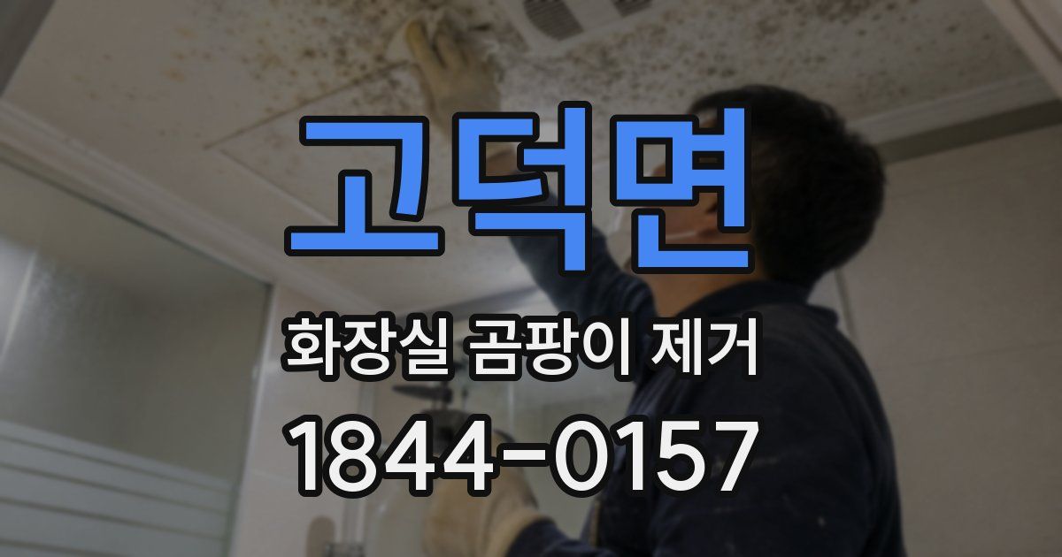 고덕면 화장실 곰팡이 제거