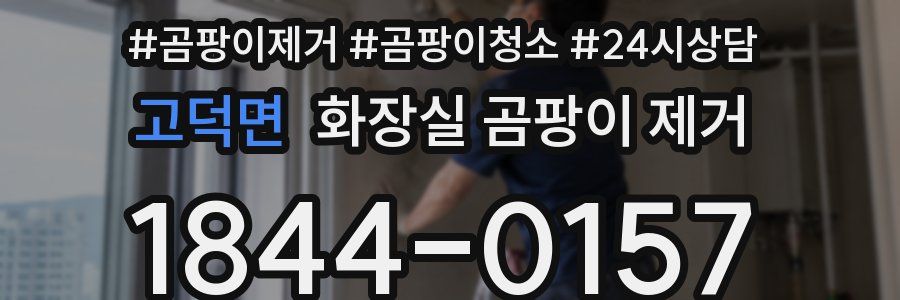 고덕면 화장실 곰팡이 제거