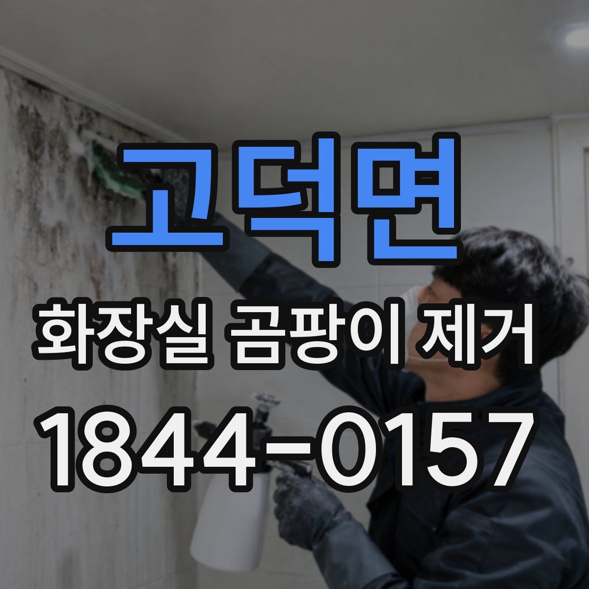 고덕면 화장실 곰팡이 제거