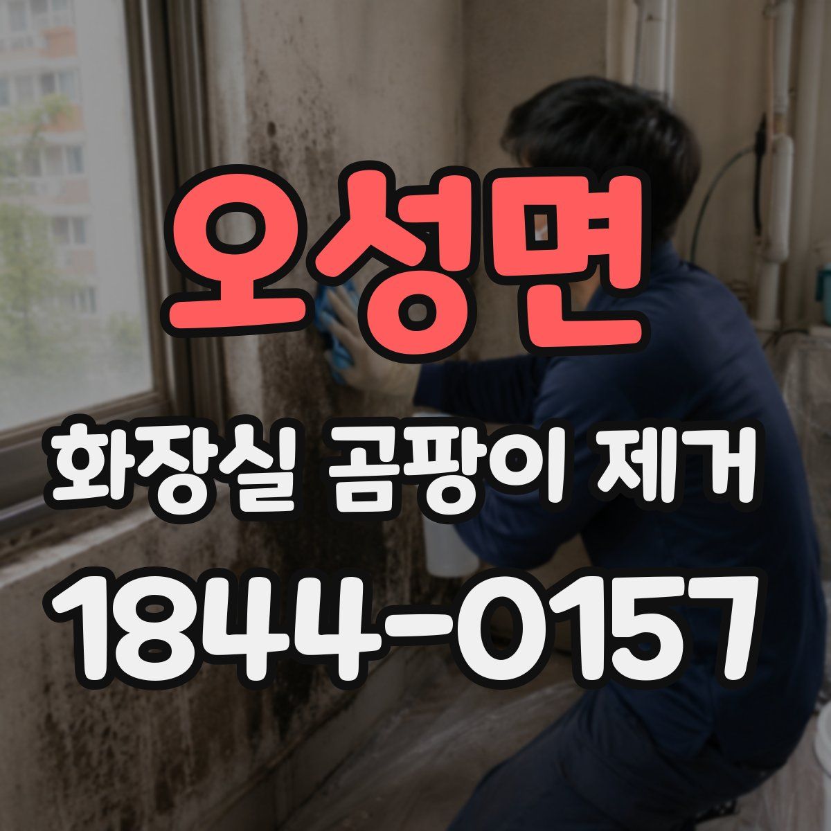 오성면 화장실 곰팡이 제거