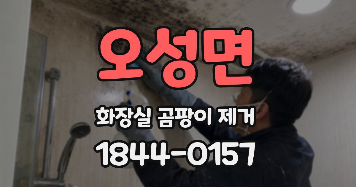 오성면 화장실 곰팡이 제거