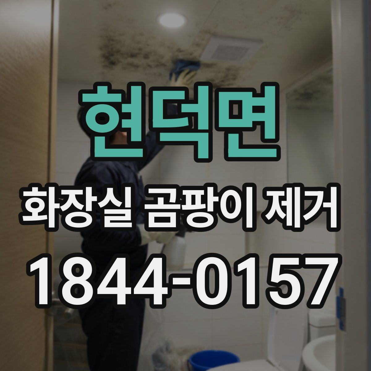 현덕면 화장실 곰팡이 제거