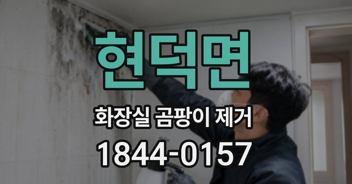 현덕면 화장실 곰팡이 제거