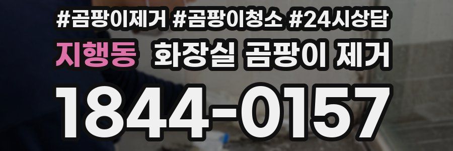 지행동 화장실 곰팡이 제거