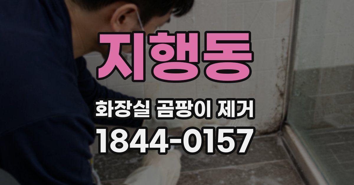 지행동 화장실 곰팡이 제거