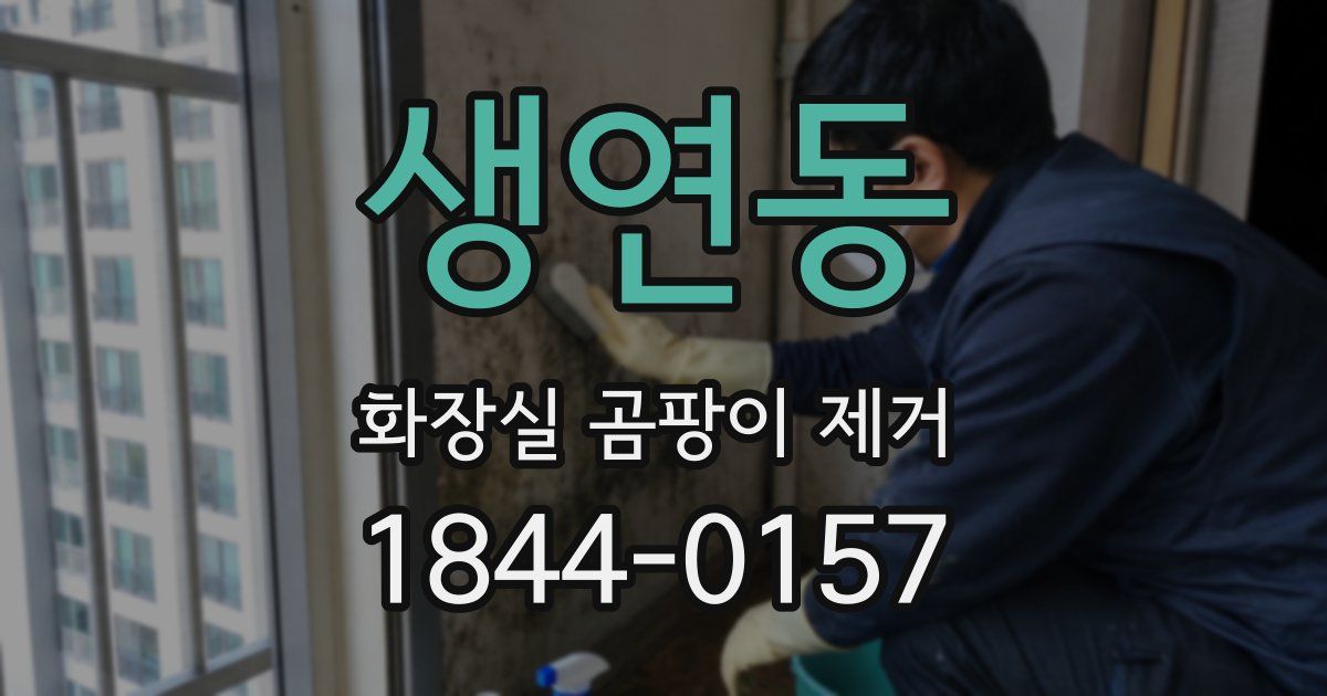 생연동 화장실 곰팡이 제거
