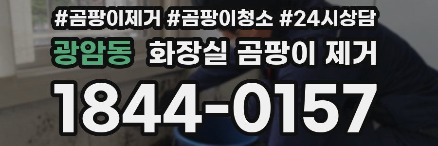 광암동 화장실 곰팡이 제거