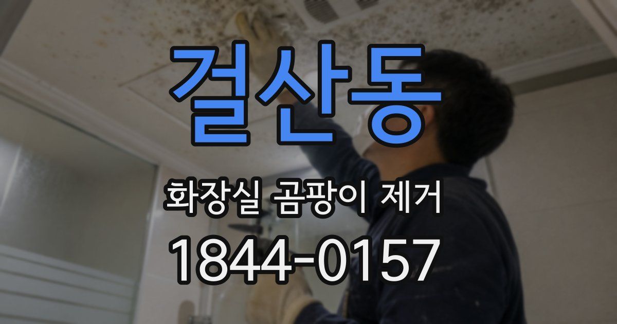 걸산동 화장실 곰팡이 제거