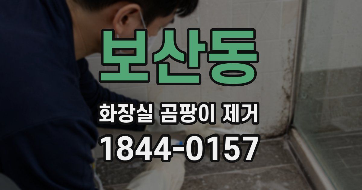 보산동 화장실 곰팡이 제거