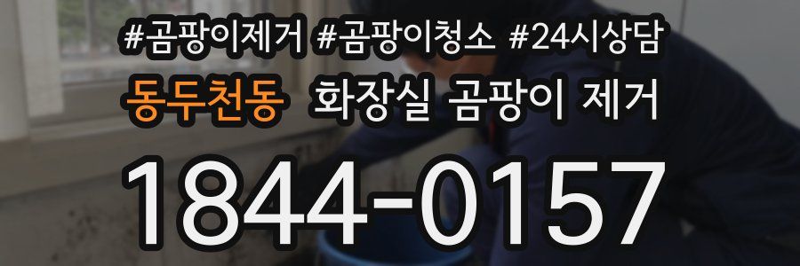 동두천동 화장실 곰팡이 제거