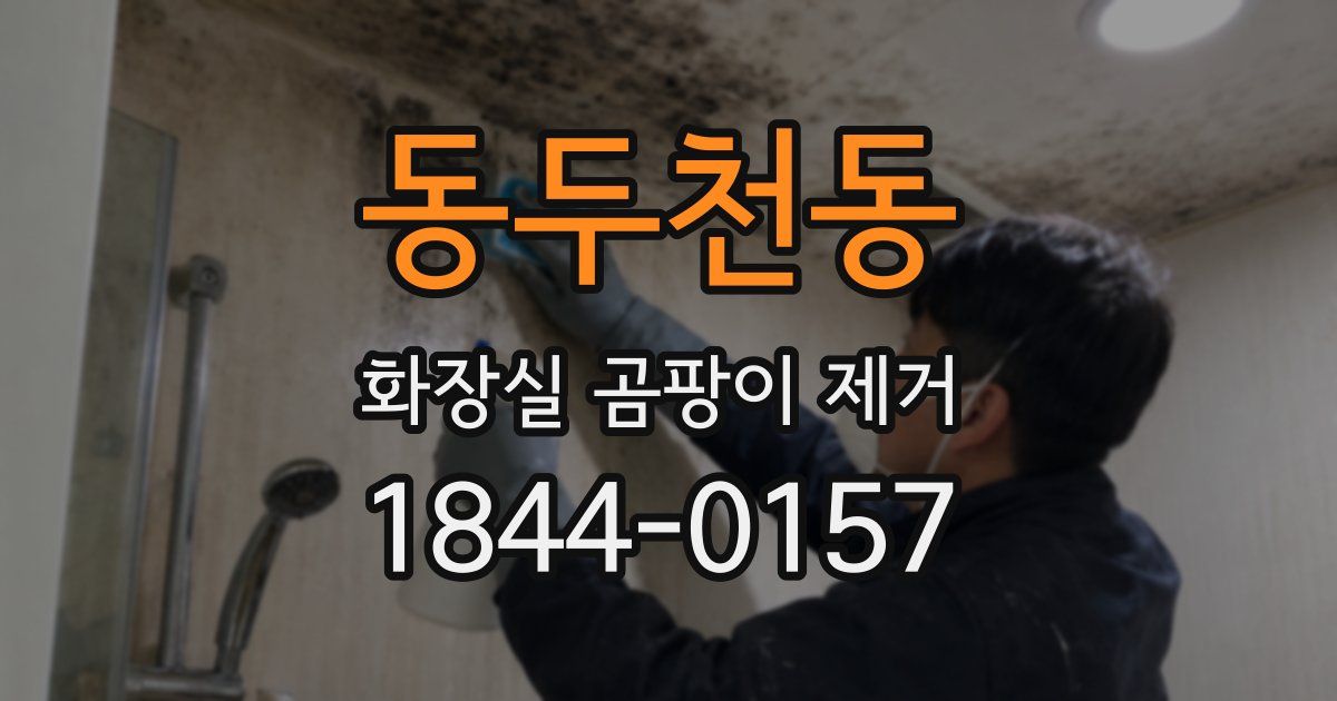 동두천동 화장실 곰팡이 제거