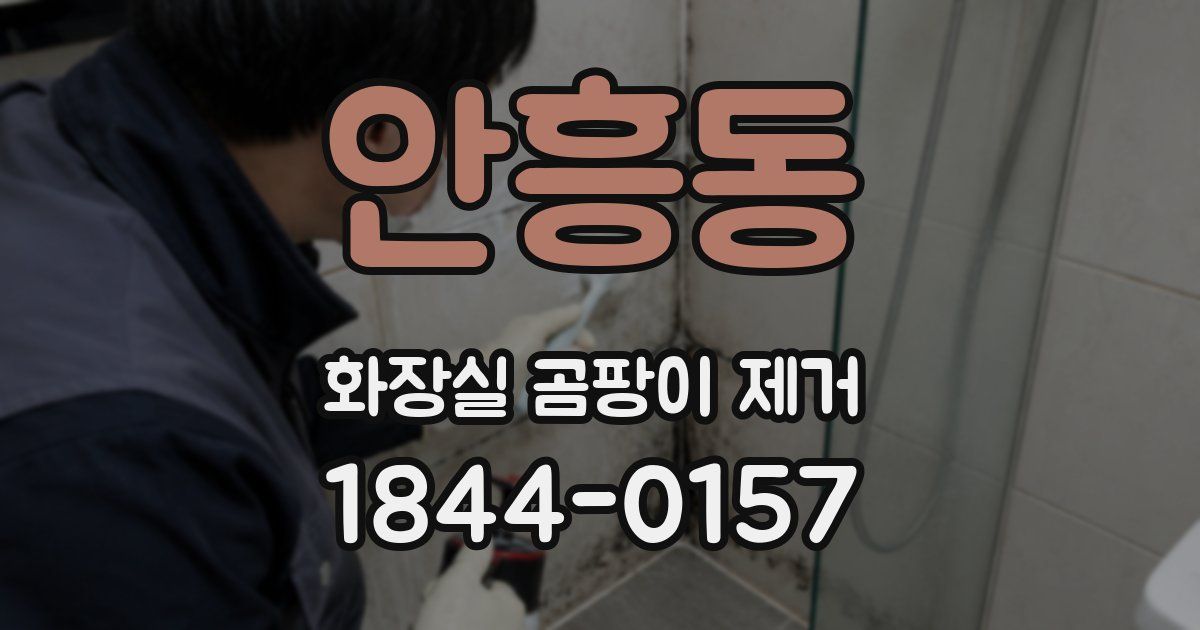 안흥동 화장실 곰팡이 제거