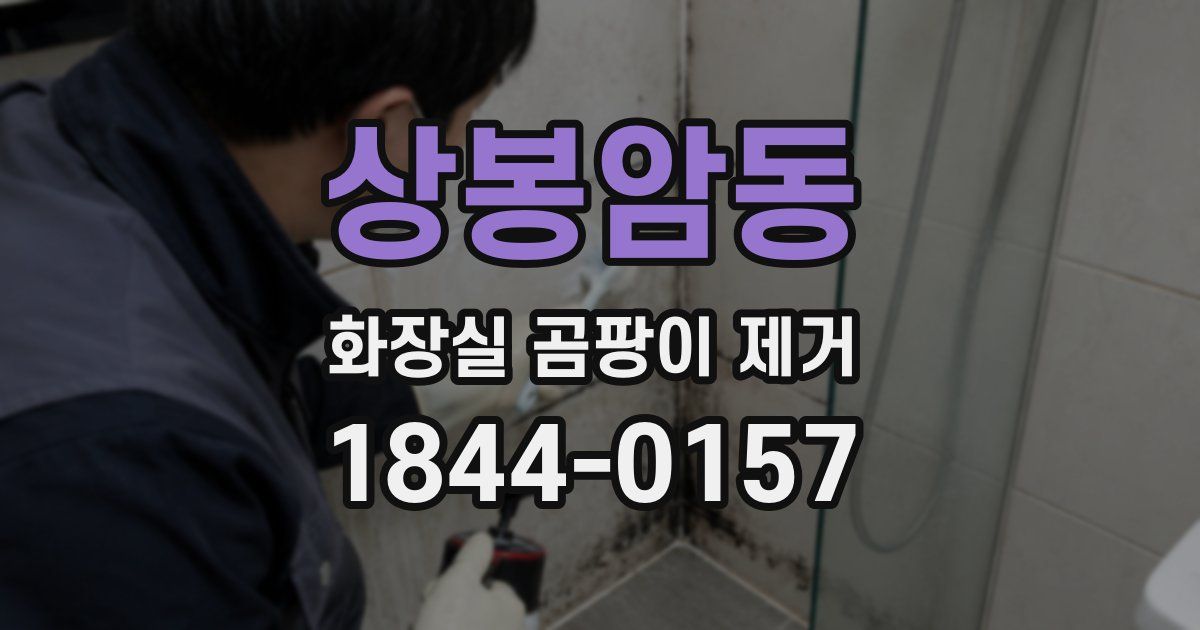 상봉암동 화장실 곰팡이 제거