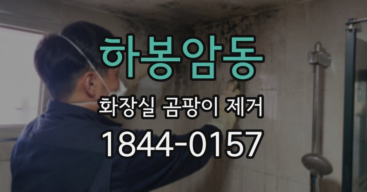 하봉암동 화장실 곰팡이 제거