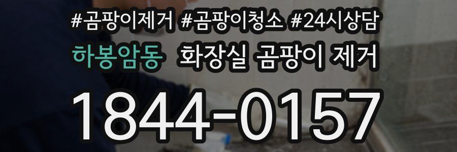 하봉암동 화장실 곰팡이 제거