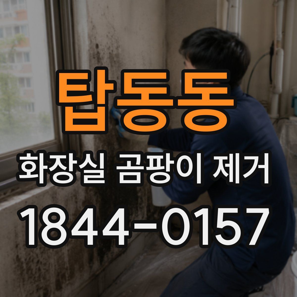 탑동동 화장실 곰팡이 제거