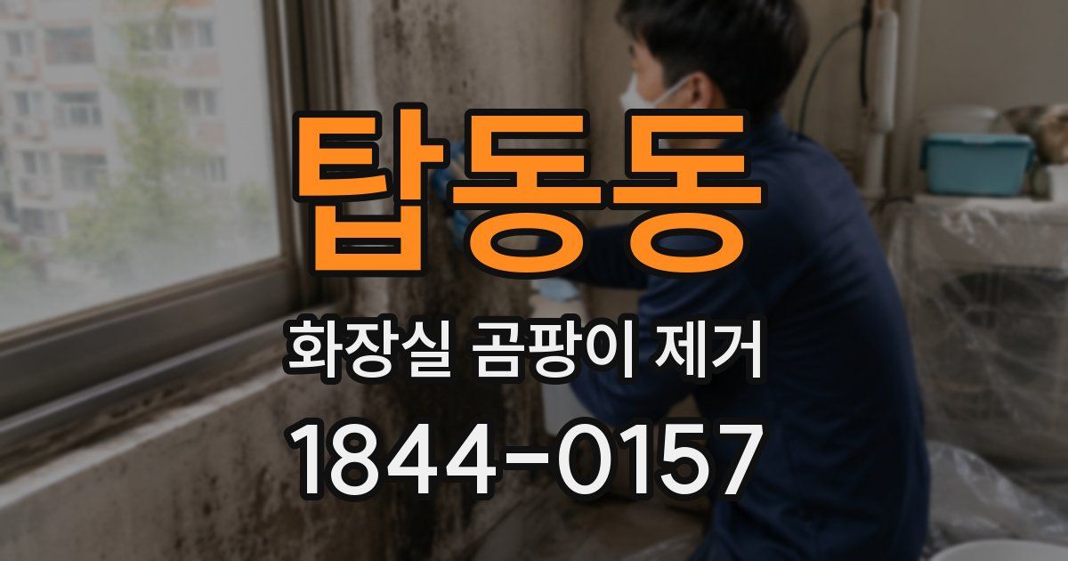 탑동동 화장실 곰팡이 제거