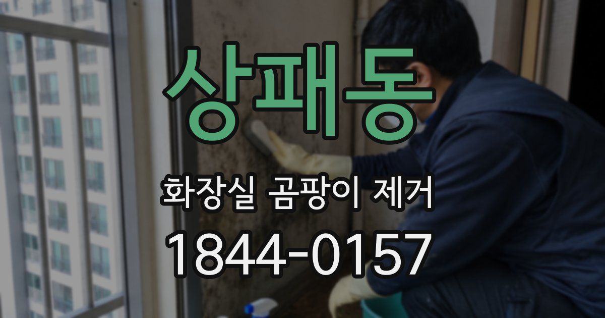 상패동 화장실 곰팡이 제거