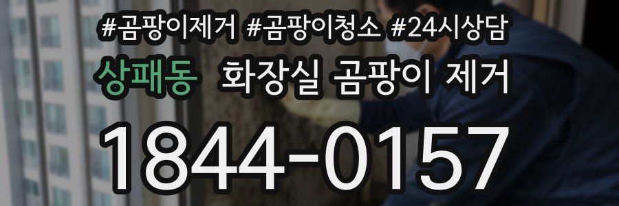 상패동 화장실 곰팡이 제거