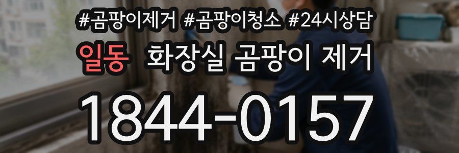 일동 화장실 곰팡이 제거