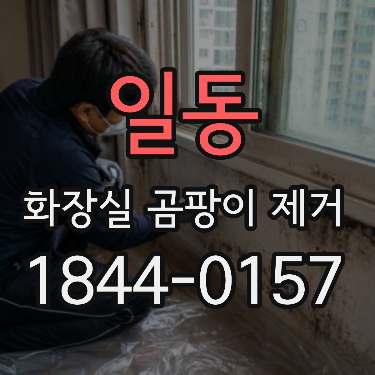 일동 화장실 곰팡이 제거