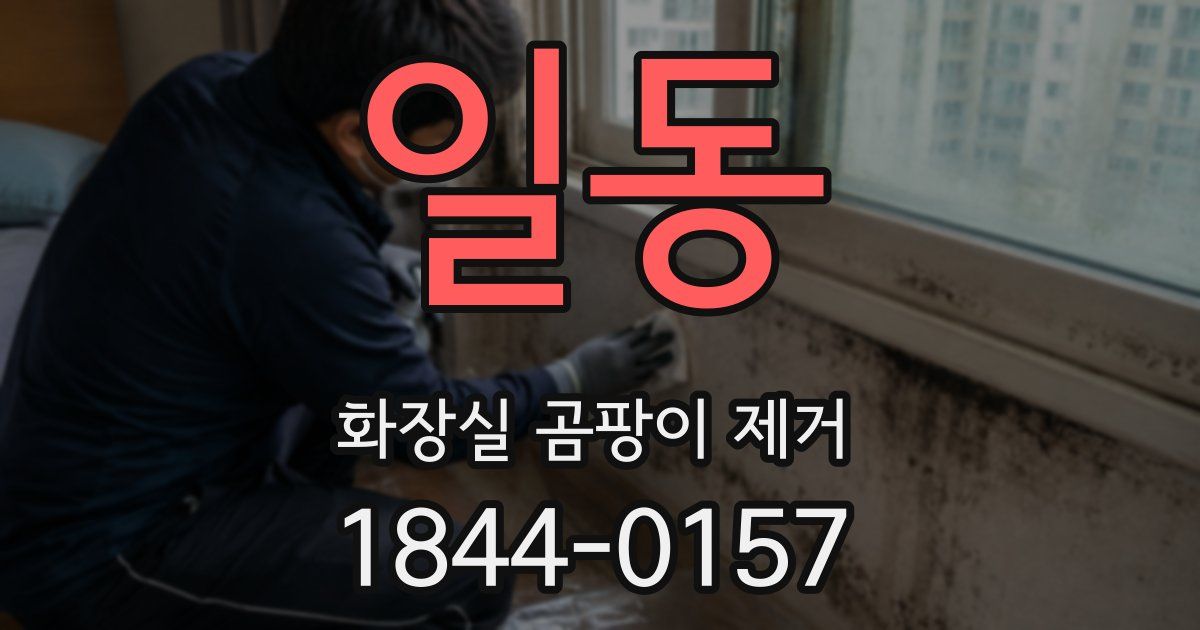 일동 화장실 곰팡이 제거