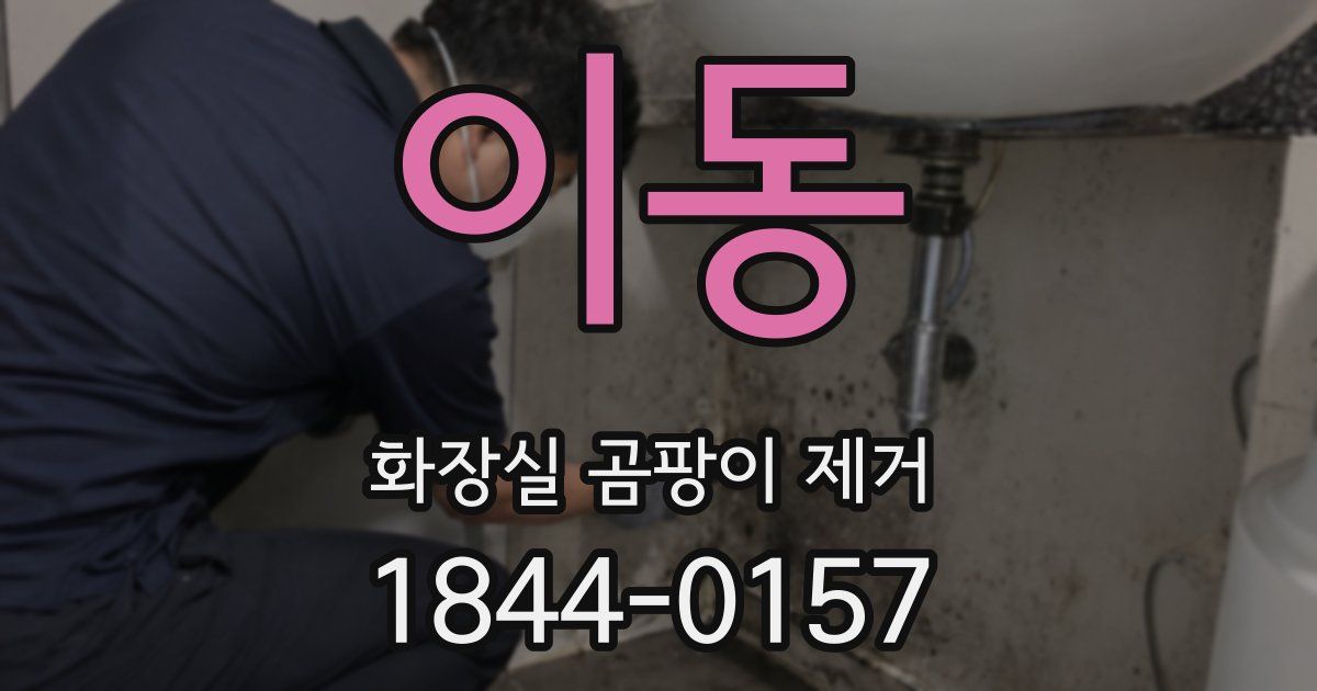 이동 화장실 곰팡이 제거
