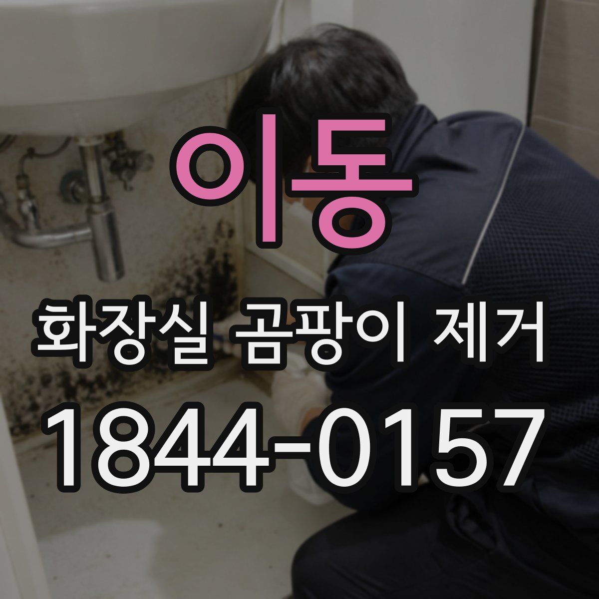 이동 화장실 곰팡이 제거
