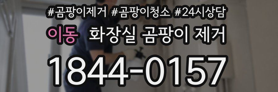 이동 화장실 곰팡이 제거