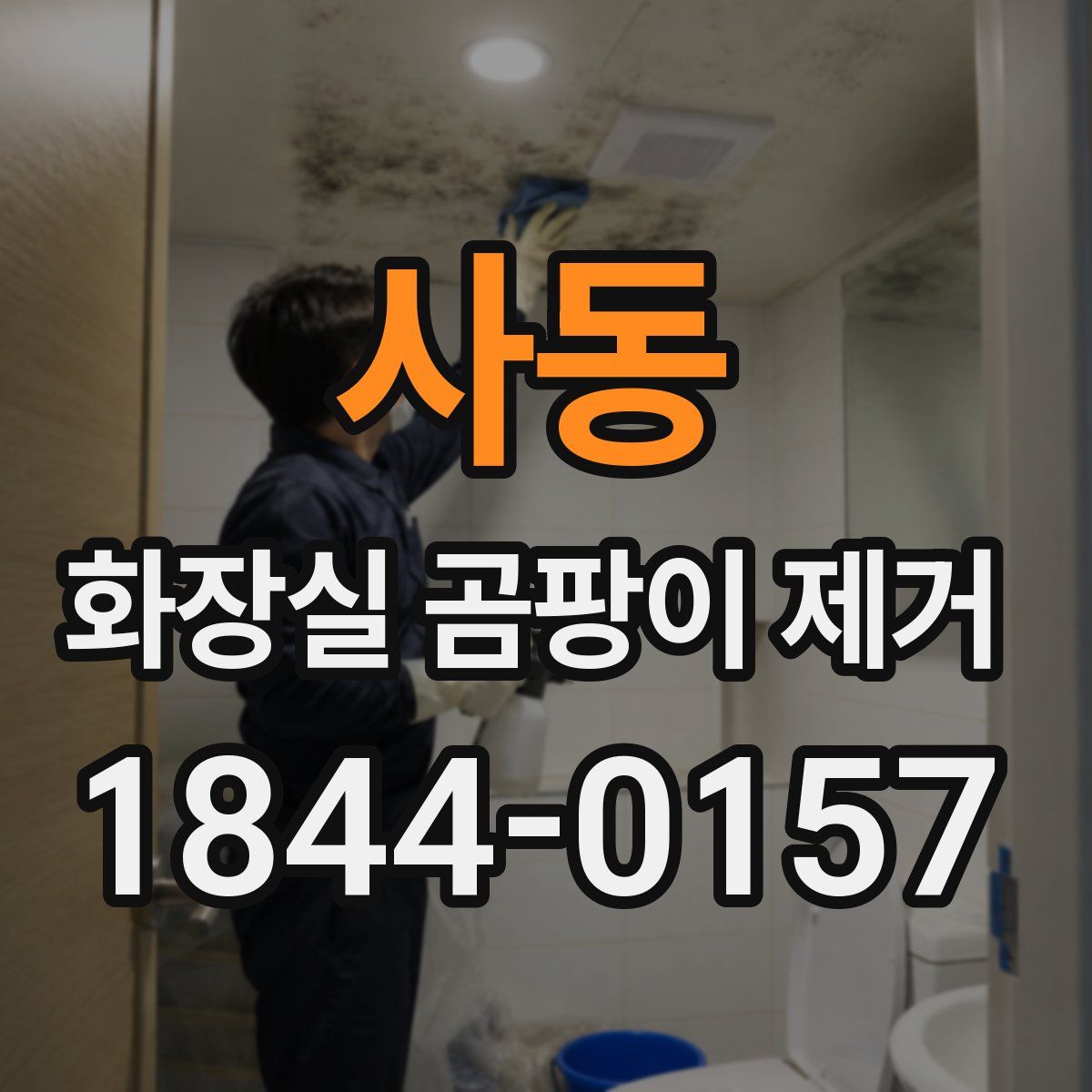 사동 화장실 곰팡이 제거