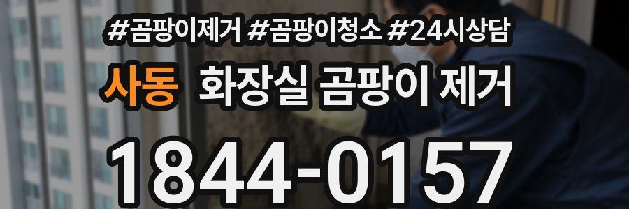 사동 화장실 곰팡이 제거