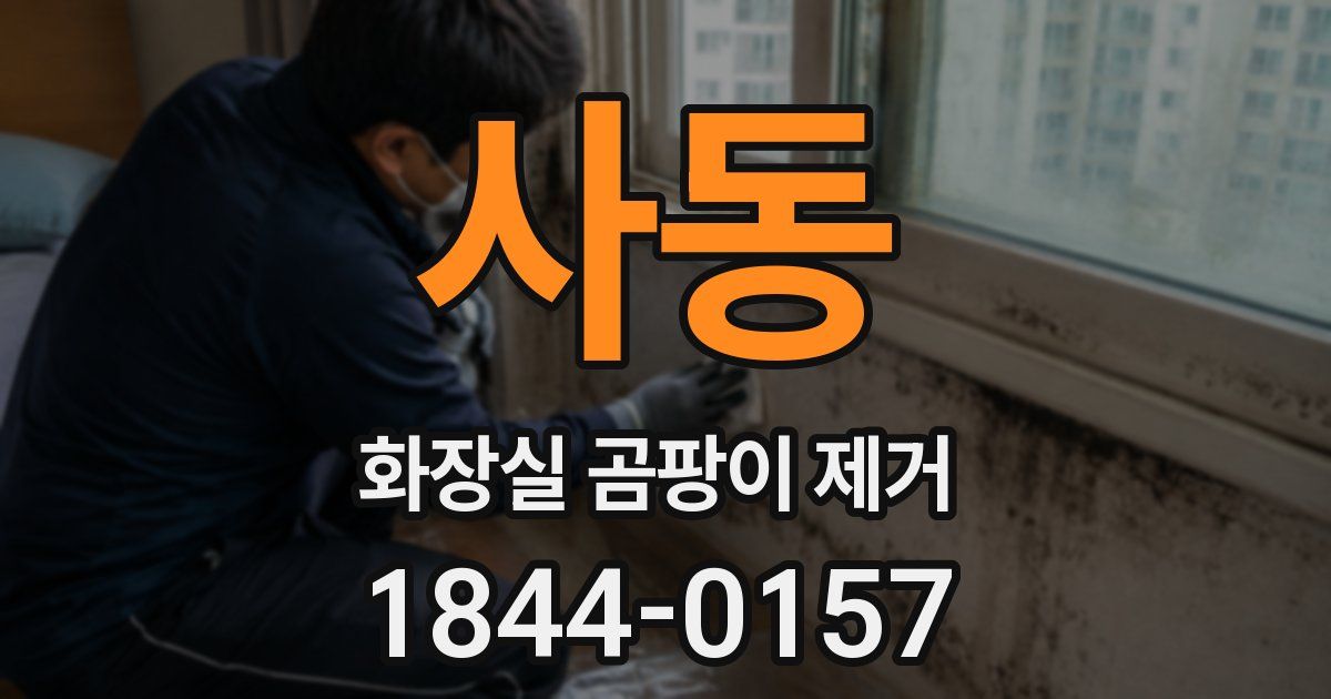 사동 화장실 곰팡이 제거