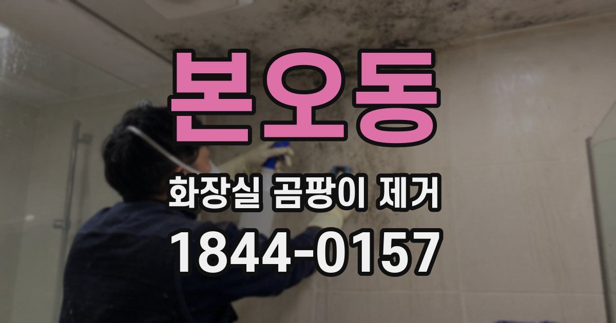 본오동 화장실 곰팡이 제거