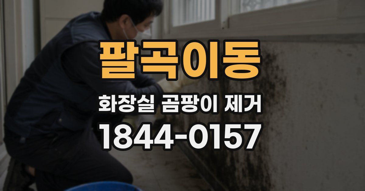 팔곡이동 화장실 곰팡이 제거