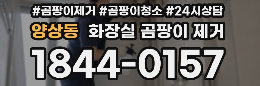 양상동 화장실 곰팡이 제거