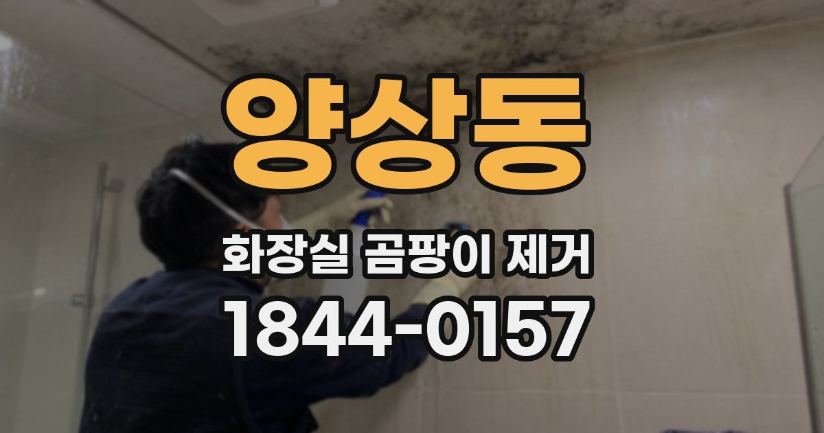 양상동 화장실 곰팡이 제거