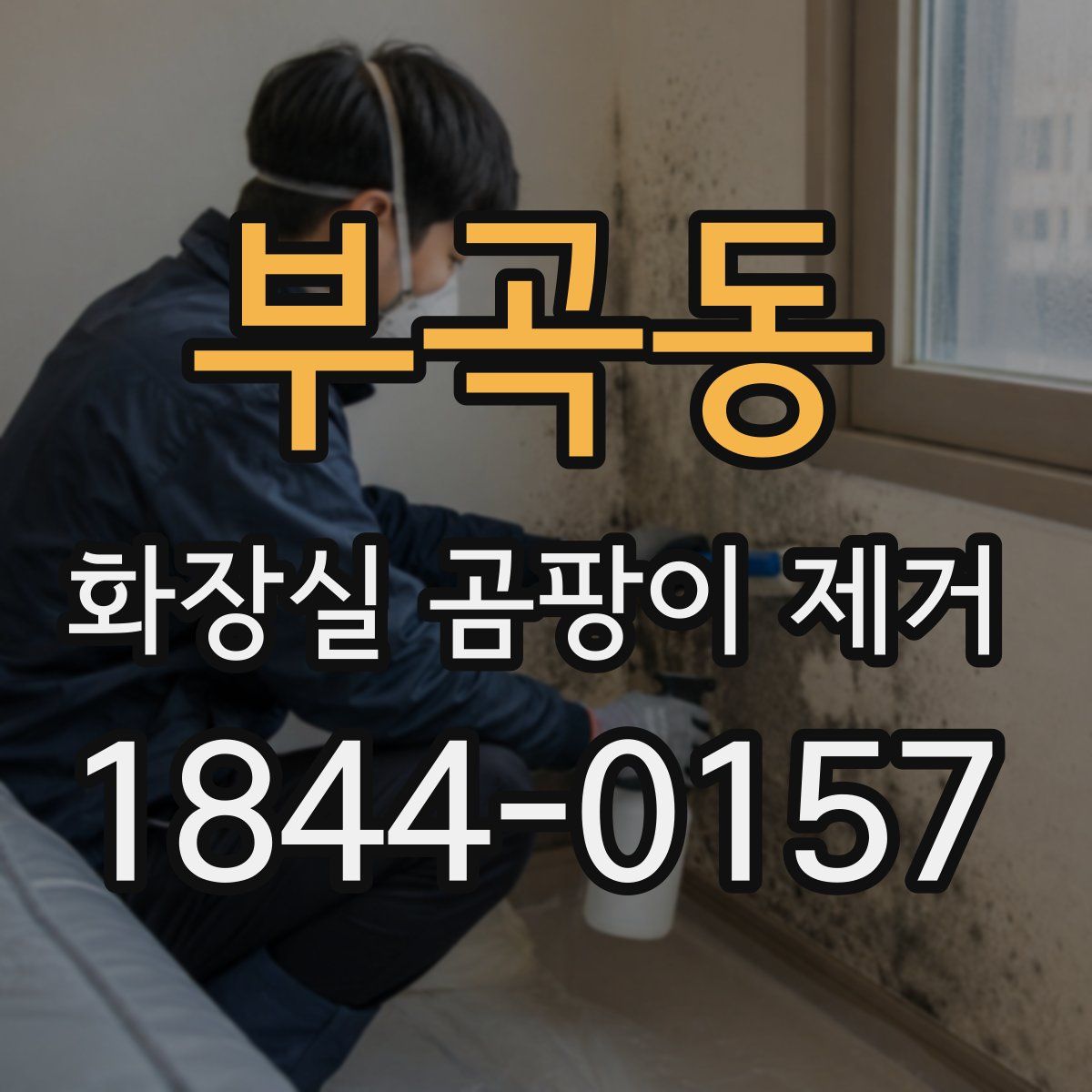 부곡동 화장실 곰팡이 제거