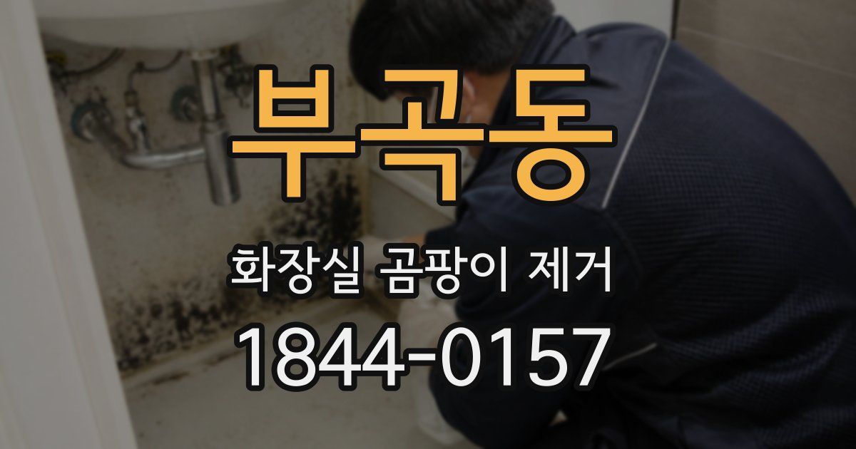 부곡동 화장실 곰팡이 제거