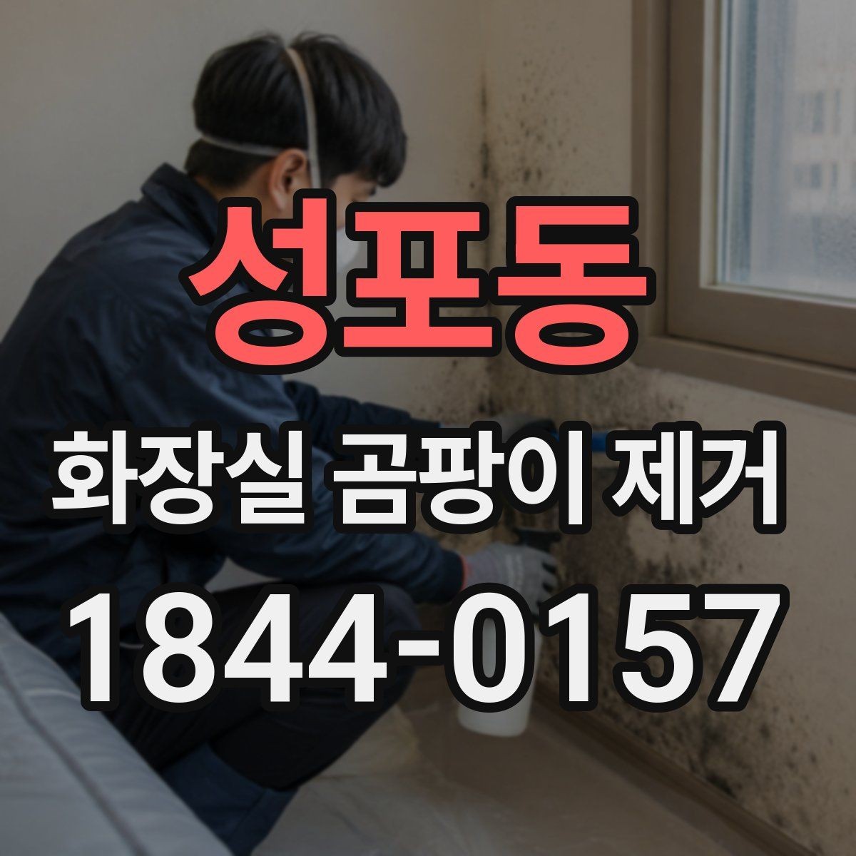 성포동 화장실 곰팡이 제거 가정용 세제로 시도할 수 있는 범위