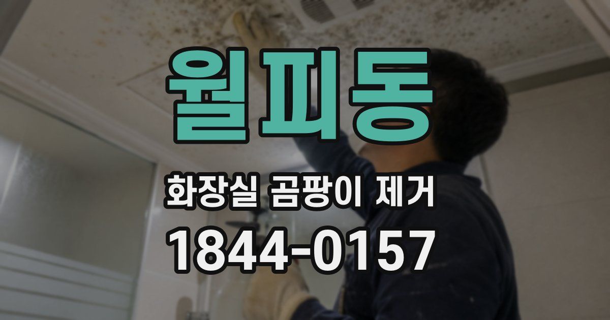 월피동 화장실 곰팡이 제거